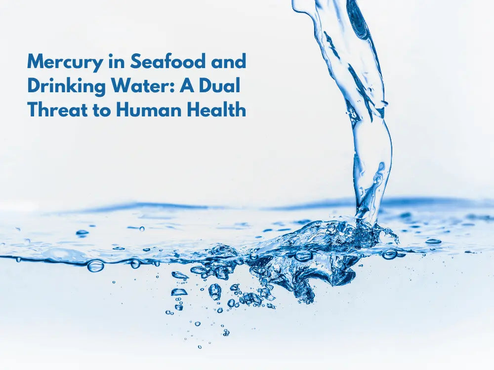 Mercury in Seafood and Drinking Water: A Dual Threat to Human Health