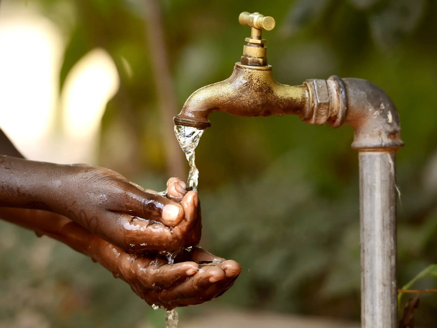 water filter