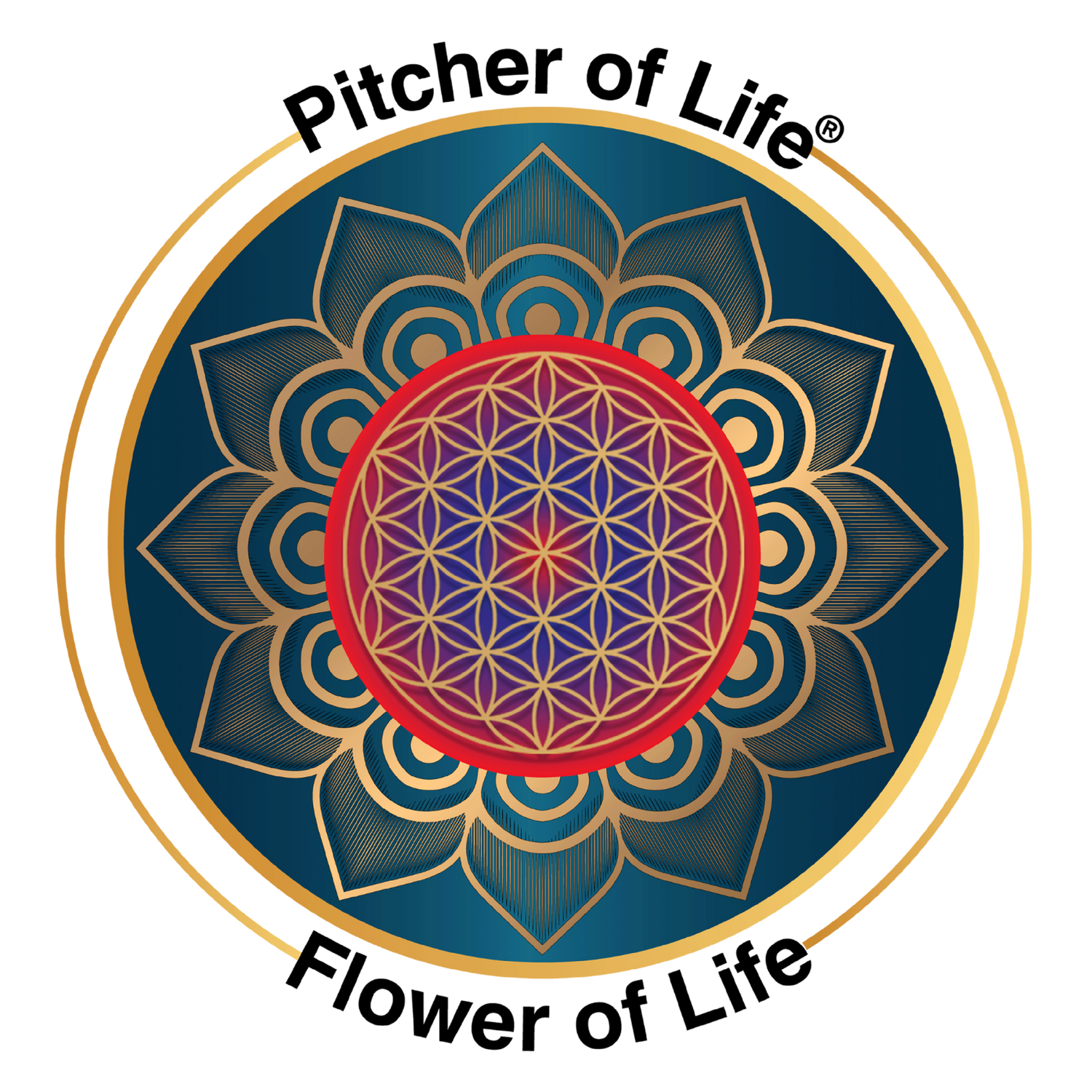 flower of life logo