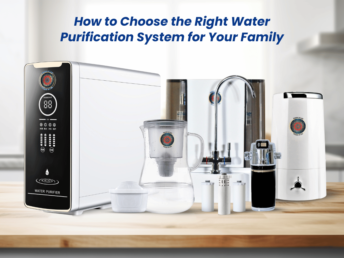 choose purified drinking water system