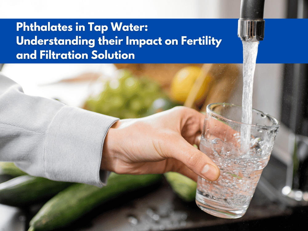 Phthalates in Tap Water: Understanding their Impact on Fertility and Filtration Solution