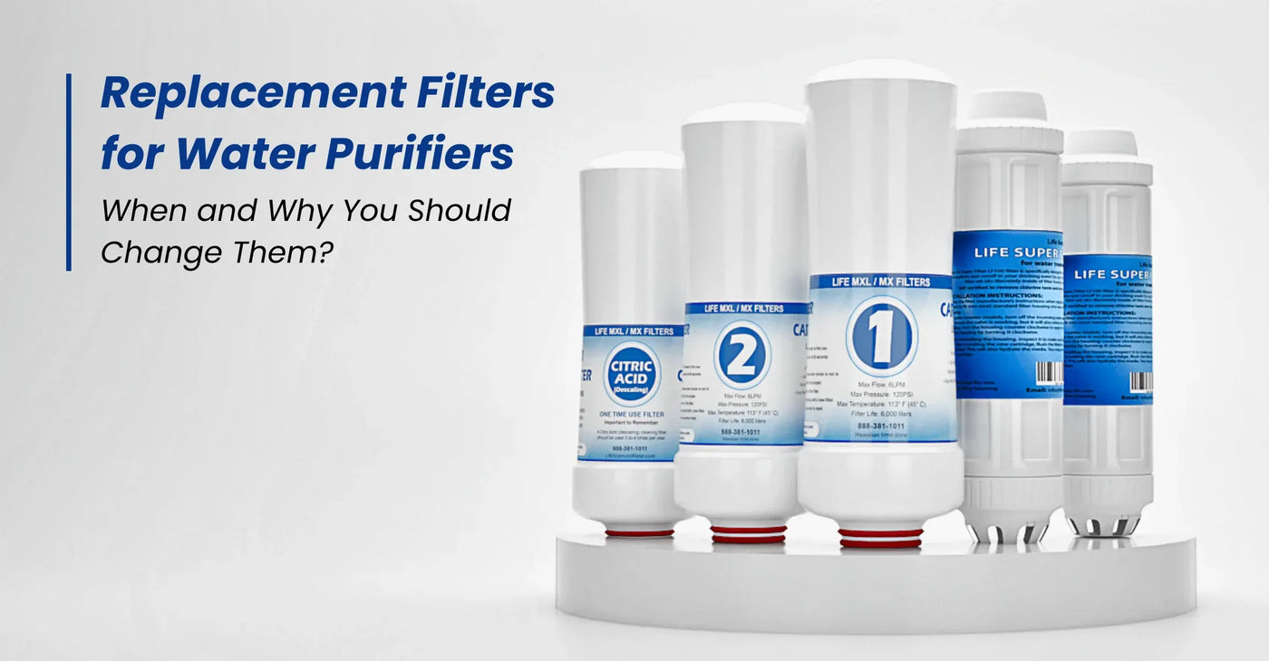 Replacement Filters for Water Purifiers
