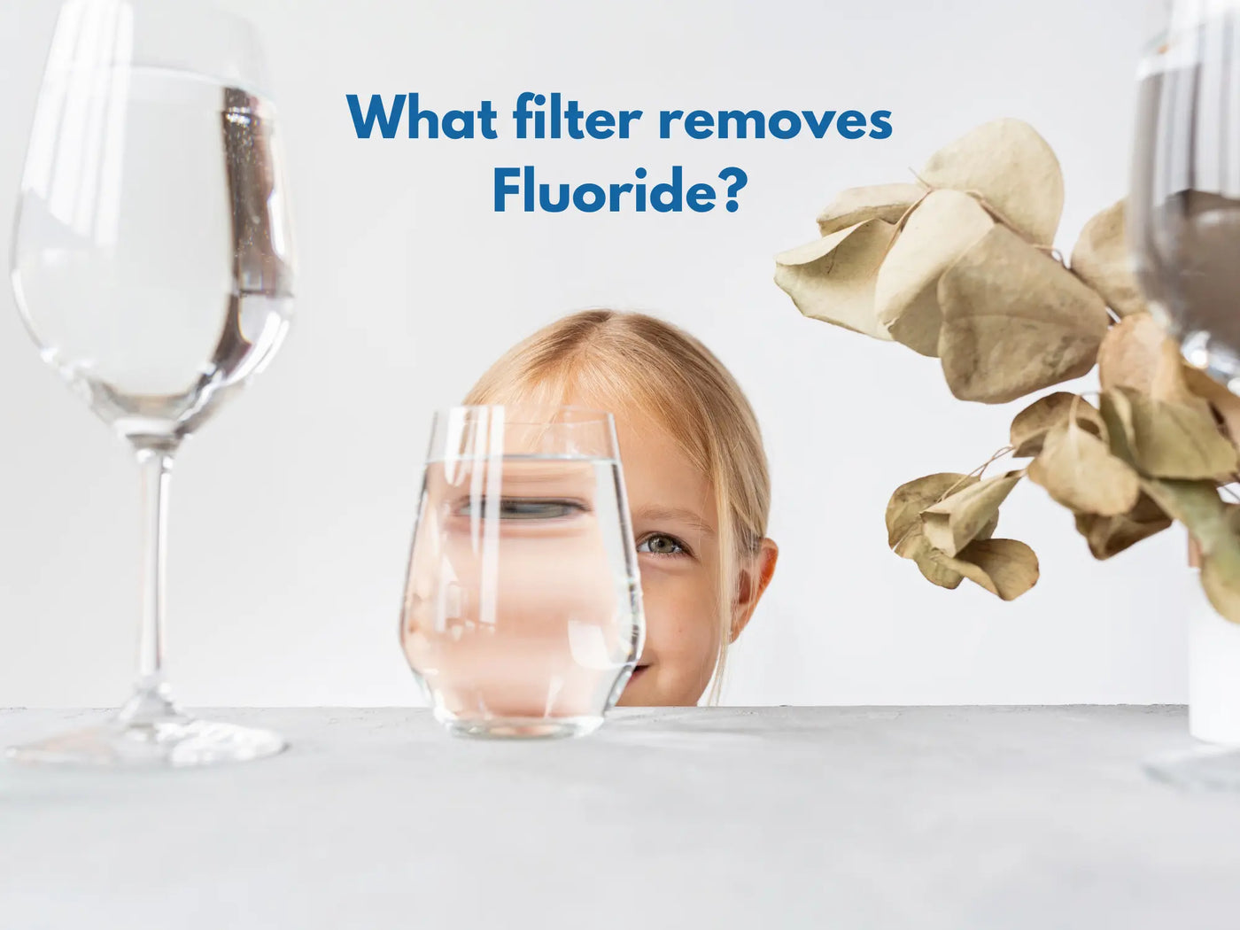 What filter removes Fluoride?
