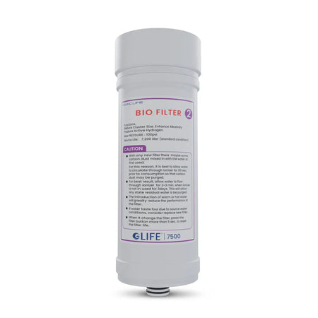 Ionizer 7500 Replacement Filter 2 with blue label and white body on a white background